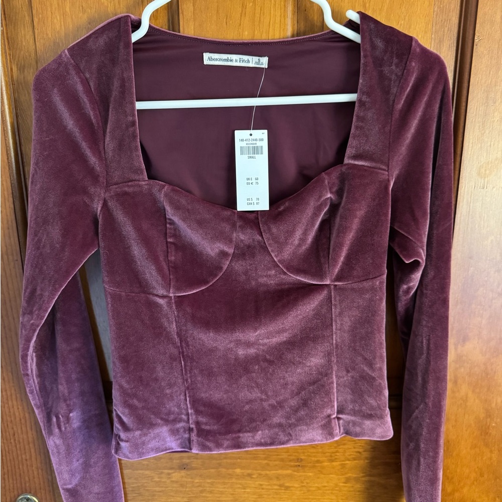 Abercrombie & Fitch Women's Velvet Blouse - Deep Purple